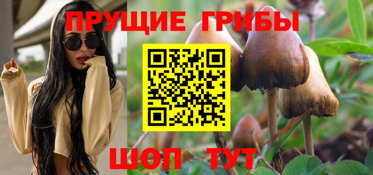 Владивосток  Галлюциногенные грибы Psilocybine cubensis  Галлюциногенные грибы мицелий  Вход с VPN 
